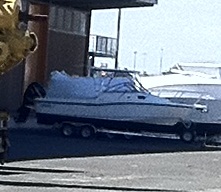 Thar she blows....... Thar she blows.......
